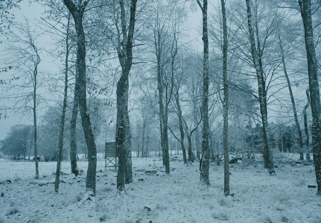 Utväg 
Regi: Fredrik Rönnqvist
Foto: Benjamin Zadig